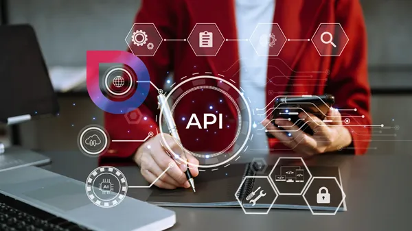 API Development Professional working